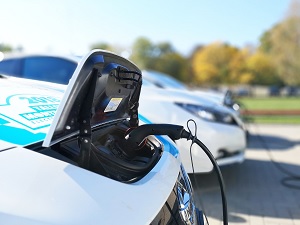 Electric Vehicle Owners