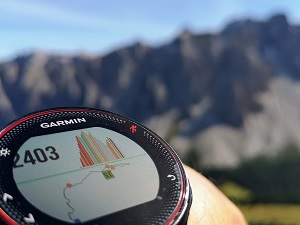 Garmin