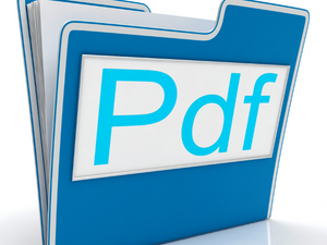 pdf file