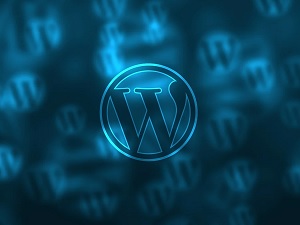 WordPress Loginize