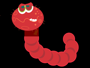 worm